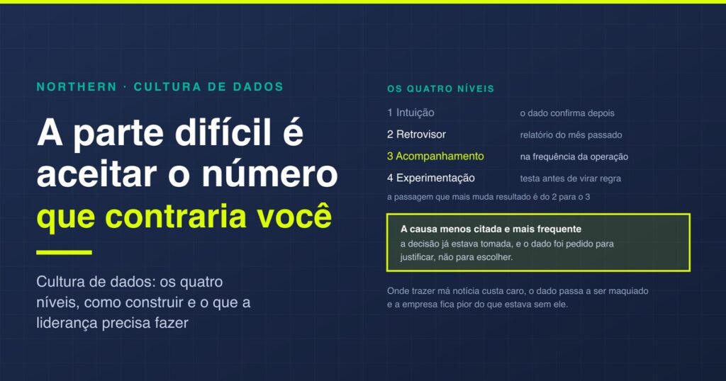 Cultura de dados: os 4 níveis e como construir